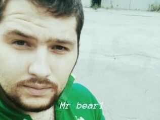 Mr_bear1
