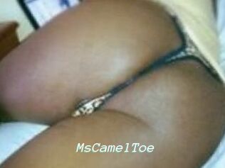 MsCamelToe