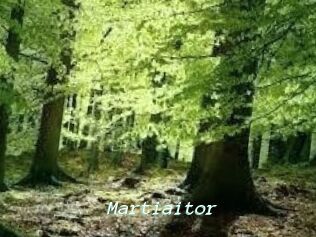 Martiaitor