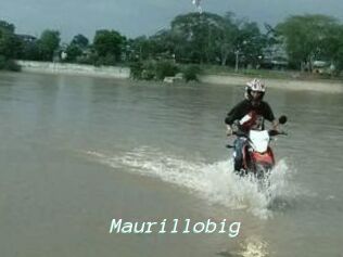Maurillobig
