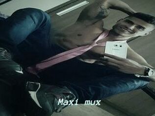 Maxi_mux