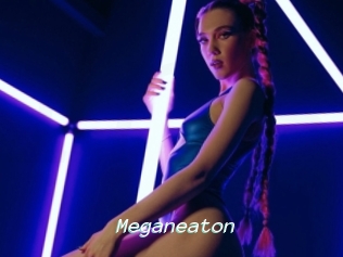 Meganeaton