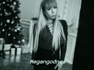 Megangodnes