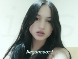 Meganosori