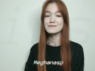 Meghanasp