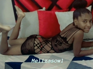 Melizasowl