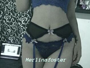 Merlinafoster