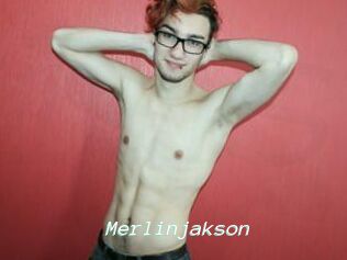 Merlinjakson