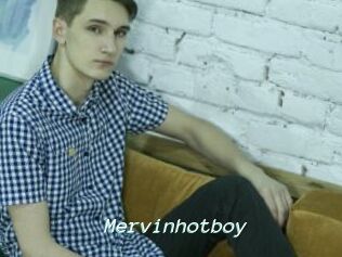 Mervinhotboy