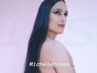 Michelebosse
