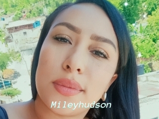 Mileyhudson