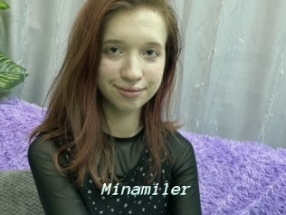 Minamiler