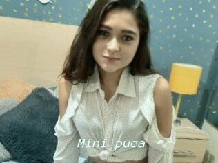 Mini_puca