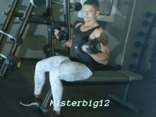 Misterbig12