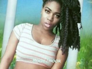 Modelmook