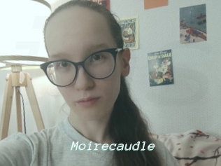 Moirecaudle
