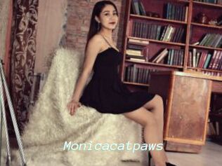 Monicacatpaws