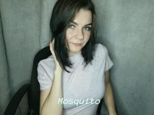 Mosquito
