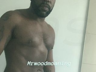 Mrwoodmoaning