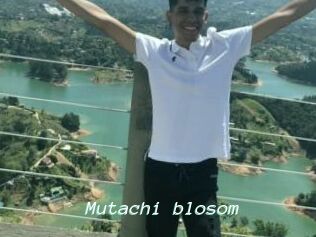 Mutachi_blosom