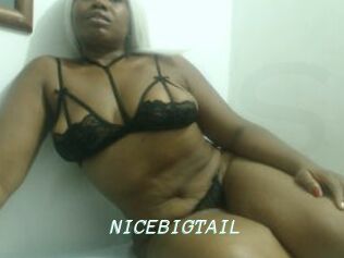 NICEBIGTAIL
