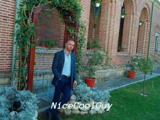 NiceCoolGuy