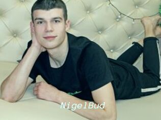 NigelBud