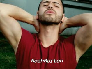 NoahMorton