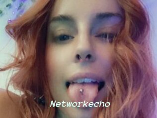 Networkecho