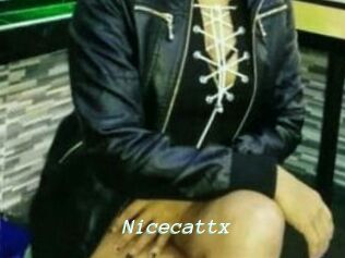 Nicecattx