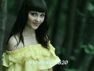 Nicekarina20