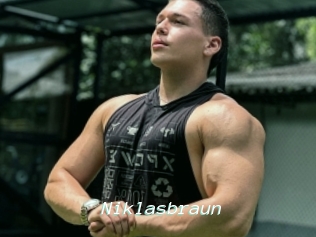 Niklasbraun