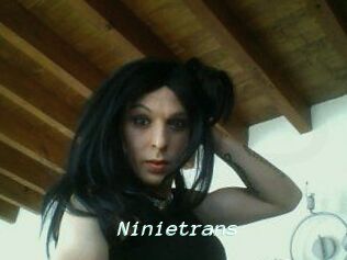 Ninietrans