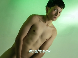 noahbeck Insenses