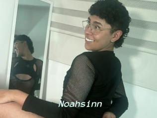 Noahsinn