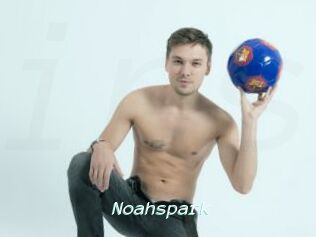 Noahspark