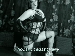 Nolimitsdirtyamy