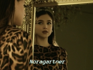 Noragartner