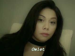 _Owlet_