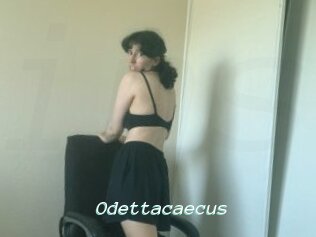 Odettacaecus