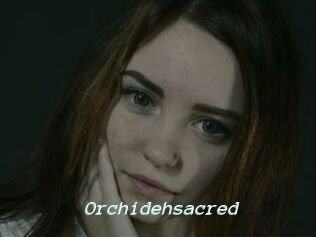 Orchidehsacred