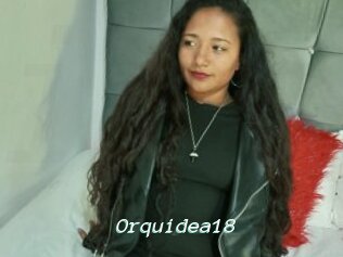 Orquidea18