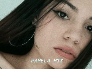 PAMELA_HTX