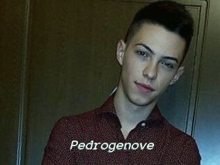 Pedrogenove