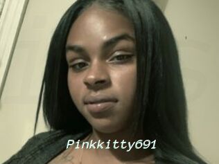 Pinkkitty691
