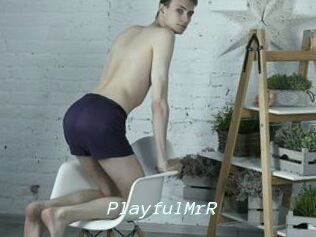 PlayfulMrR