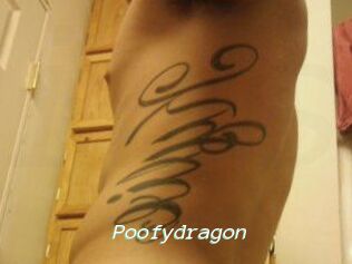 Poofydragon