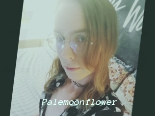 Palemoonflower