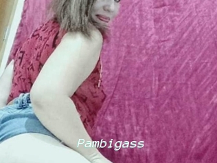 Pambigass