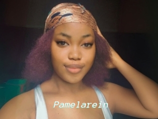 Pamelarein